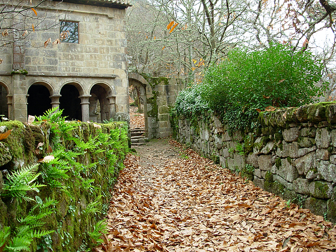 El sendero de la vida.