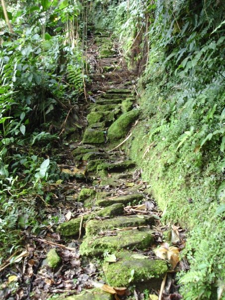 Camino deshecho.